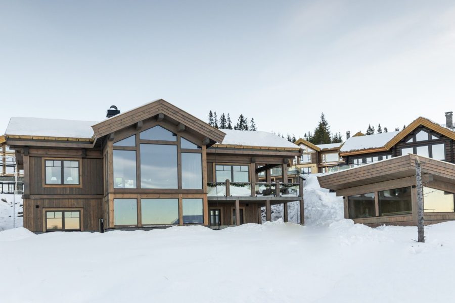 Modern log glass (20)